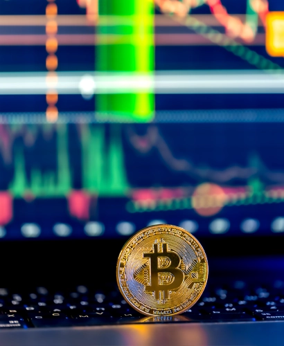 Gelodovexis Trading Informationen